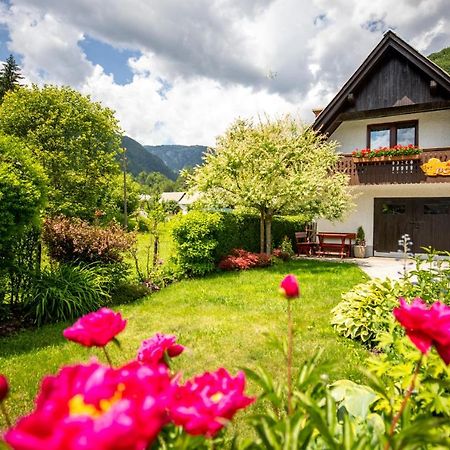 Apartma Boltar Bohinj Εξωτερικό φωτογραφία