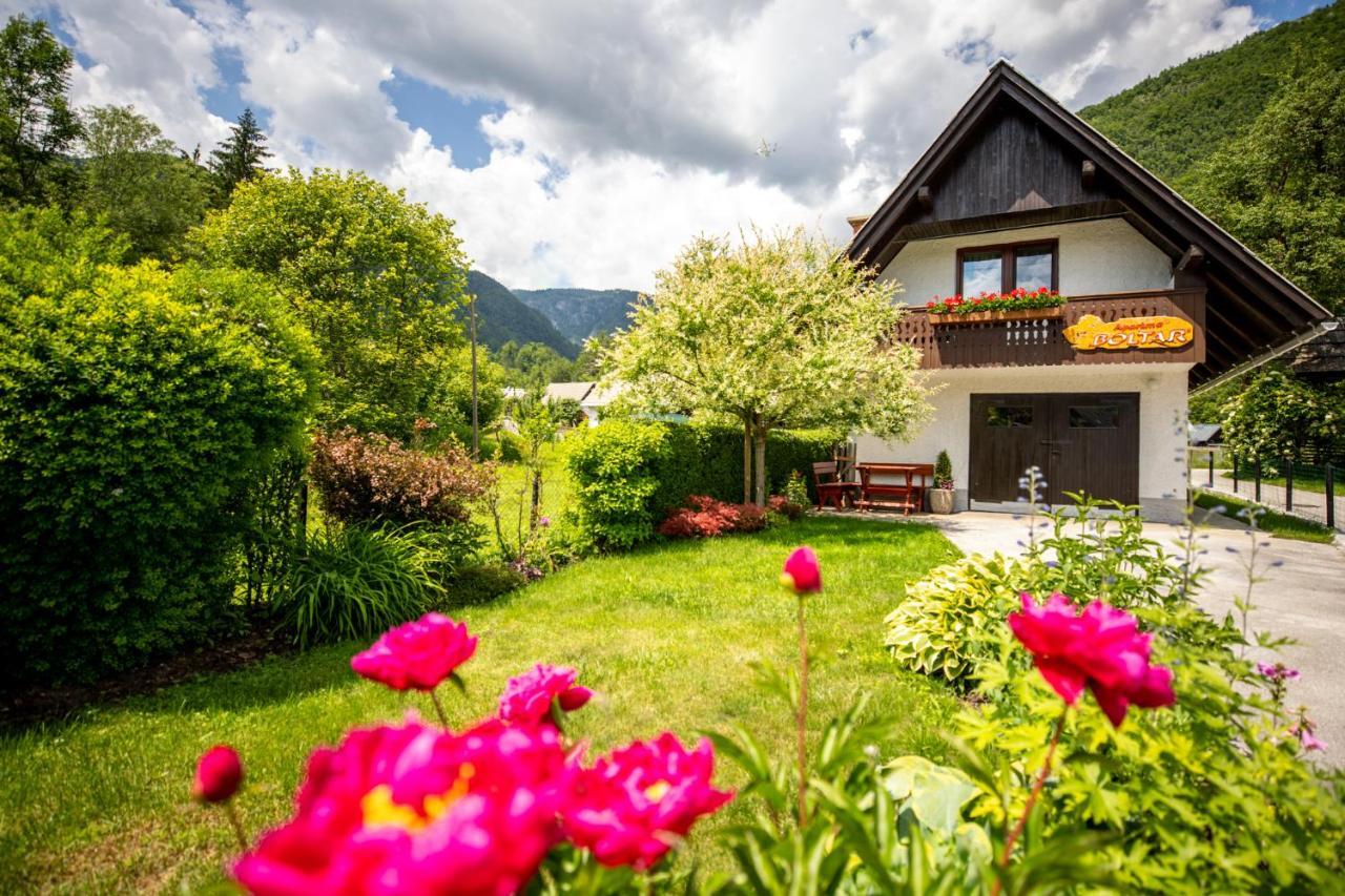 Apartma Boltar Bohinj Εξωτερικό φωτογραφία